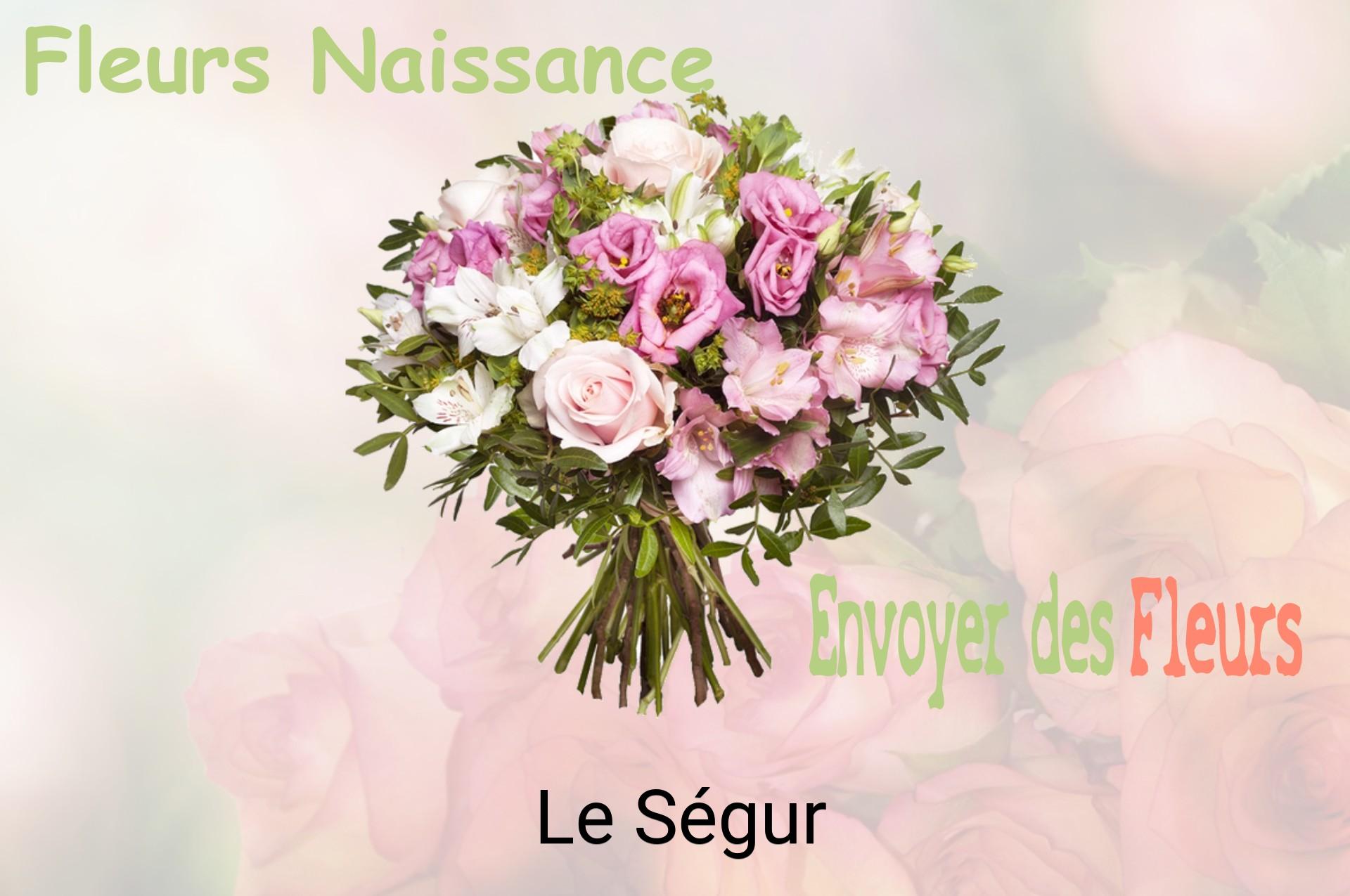 Bouquet de fleurs de naissance livré à Le Ségur
