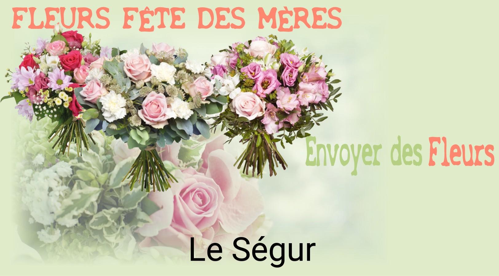 Bouquet de Fête des Mères livré à Le Ségur